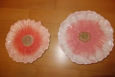 Speiseteller depot blumentelle gebraucht kaufen  Dresden