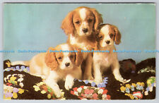 R736510 king charles for sale  WARLINGHAM