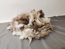 Rohwolle merino 550 gebraucht kaufen  Dresden