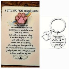 Little hug rainbow for sale  CHULMLEIGH