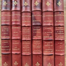 Illustration roman lot d'occasion  Gerzat