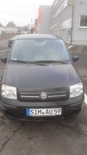 Fiat panda typ169 gebraucht kaufen Fiat panda typ169 gebraucht kaufen  Kastellaun