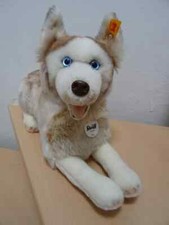 Steiff siberian dui gebraucht kaufen  Kassel