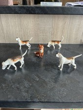 fox hounds for sale  LLANELLI