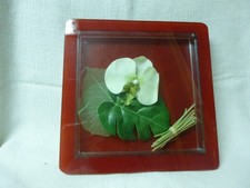 alizea d'occasion alizea d'occasion  Fessenheim