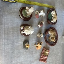 Selection cat dog for sale  BELFAST