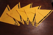 Boy scouts america for sale  Webster