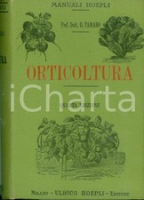 1910 manuali hoepli usato  Milano
