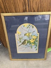Vintage framed bird for sale  Minden