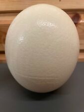 Imperfect blown ostrich for sale  BANBURY