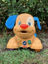 Cagnolino primi passi usato  Mariano Comense