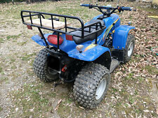 Quad quattroruote oregon usato  Arezzo