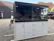 Boyu large fish for sale  HALSTEAD