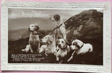 Vintage dog postcard for sale  LOUTH