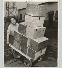 Freight laborer moves for sale  Brooklyn