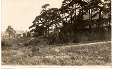 Heath weybridge surrey for sale Heath weybridge surrey for sale  TENTERDEN