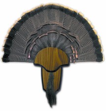 Hunters specialties strut for sale  Austin