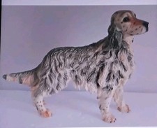 Leonardo collection dog for sale  SCUNTHORPE