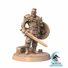 Harald ragnar viking d'occasion  Expédié en Belgium