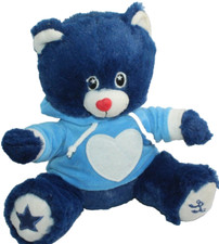 Peluche orso blu usato  Nettuno