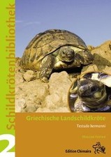 Griechische landschildkröte . gebraucht kaufen  Berlin