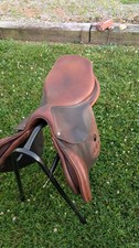 Beautiful bruno delgrange for sale  West Newton