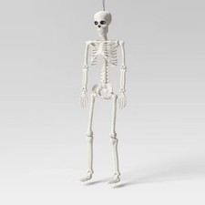 New posable skeleton for sale  Arlington
