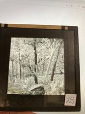 Usado, Slide fotográfico com tampa de vidro Magic Lantern 31/4” x 31/4”, por volta de 1930’s [nº 25] comprar usado  Enviando para Brazil