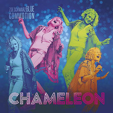 Chameleon zoe schwarz for sale  ROSSENDALE