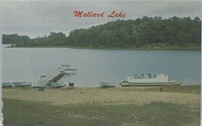 Postcard spooner mallard for sale  San Antonio