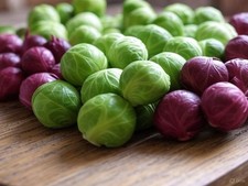 Brussels sprout mixed for sale  STOWMARKET