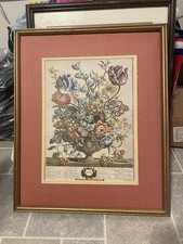 Robert furber months for sale  Emporia