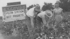 1950s three people for sale  Mission