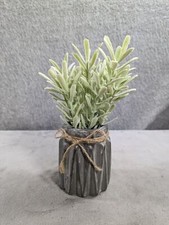 Fake succulent plant for sale  League City