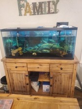 Beautiful fish tank d'occasion  Expédié en Belgium