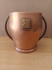 Cestello ghiaccio cinzano usato  Trapani