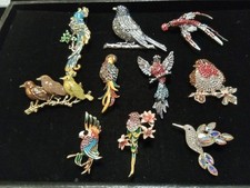 Pieces adorable birds for sale  Lodi