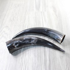 Polished cow horns for sale  Parma