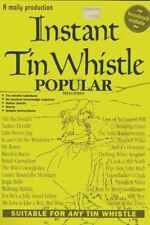 Instant tin whistle d'occasion  Hennebont