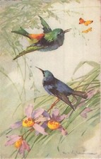 Illustrated signed klein d'occasion  Expédié en Belgium