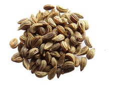 Persil frisé vert d'occasion Persil frisé vert d'occasion  Puy-Guillaume