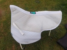 Griffin nuumed wither for sale  AMLWCH