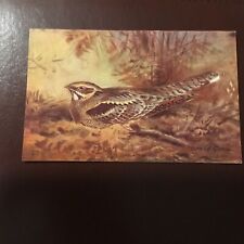 Postcard birds nightjar for sale  NEWCASTLE UPON TYNE