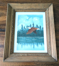 Flying bald eagle for sale  Dade City
