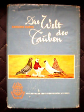 Tauben taubenzucht vom gebraucht kaufen Tauben taubenzucht vom gebraucht kaufen  Deutschland