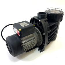 Speck pumpe poolpumpe gebraucht kaufen  Borken