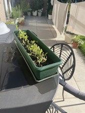 large plastic trough for sale large plastic trough for sale WALTHAM CROSS