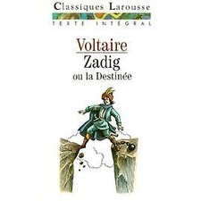 Livre garnier flammarion d'occasion  Les Mureaux