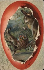 giant rabbits for sale giant rabbits for sale USA
