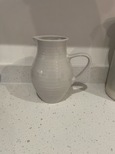 Neptune lewes jug for sale  EAST BOLDON